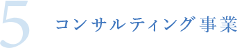 5.コンサルティング事業